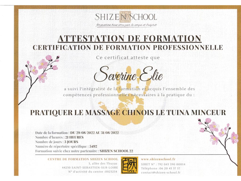 Formation chez : Shizen school, pour : Massage Tuina minceur en 2022