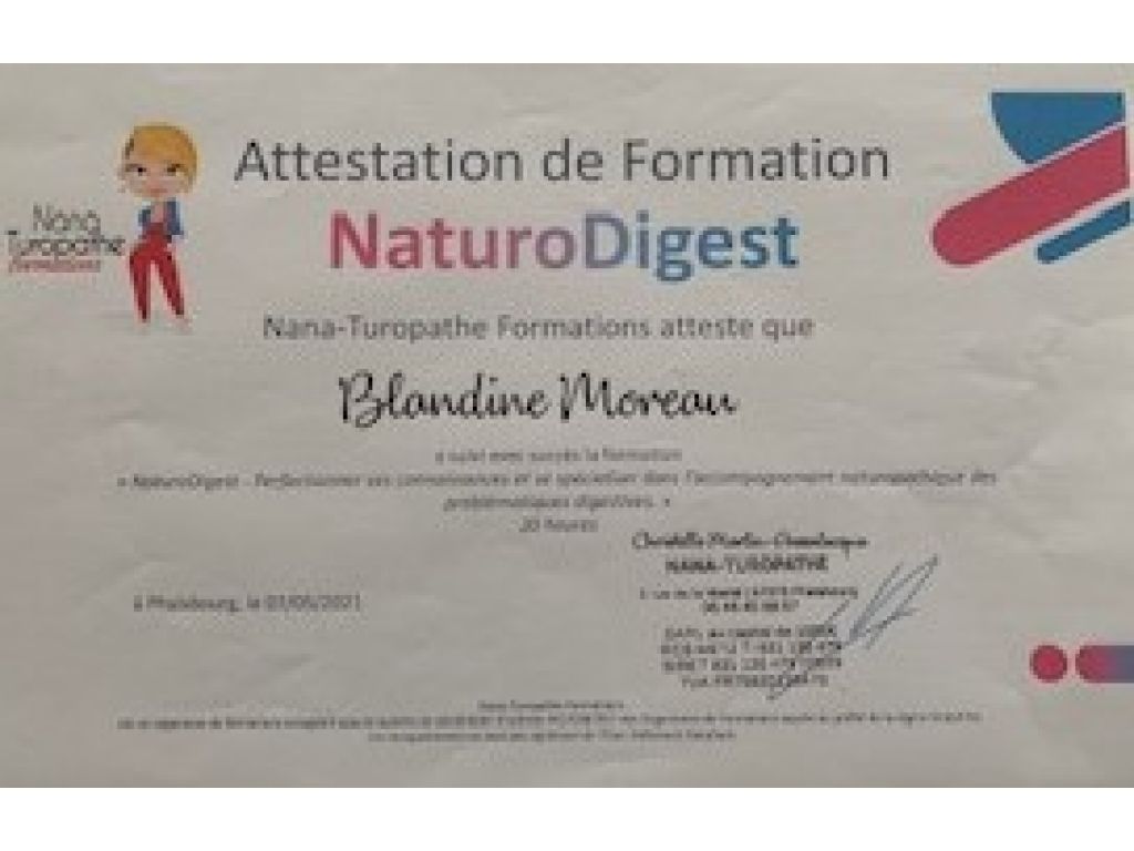 Formation chez : Nanaturopathe formation, pour : NaturoDigest-Accompagnement naturopathique des problématiques digestives en 2021