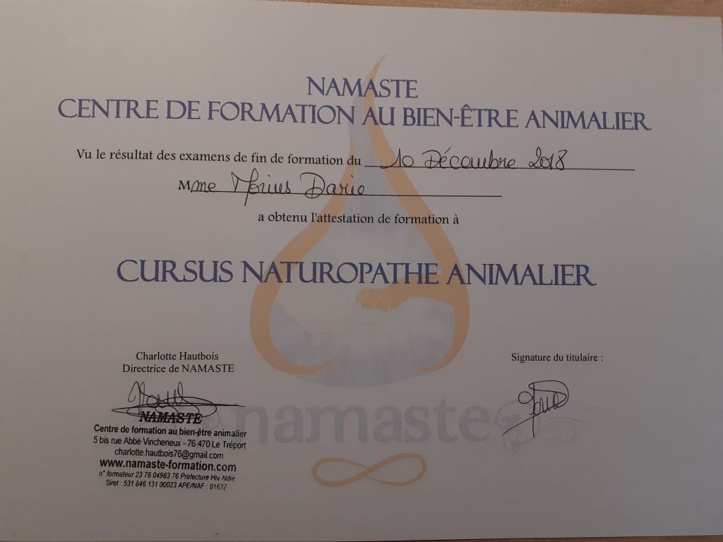 Formation chez : Namaste, pour : Naturopathe animalier en 2018